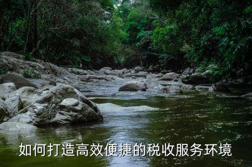 什么是稅務(wù)延時服務(wù)，去辦國稅跟地稅超期一天怎么辦