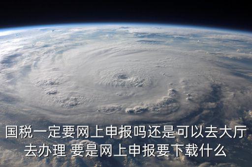 國稅一定要網(wǎng)上申報(bào)嗎還是可以去大廳去辦理 要是網(wǎng)上申報(bào)要下載什么