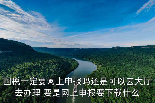 地稅進國稅要下載什么，深圳國地稅想網(wǎng)上申報要下載什么東西嗎