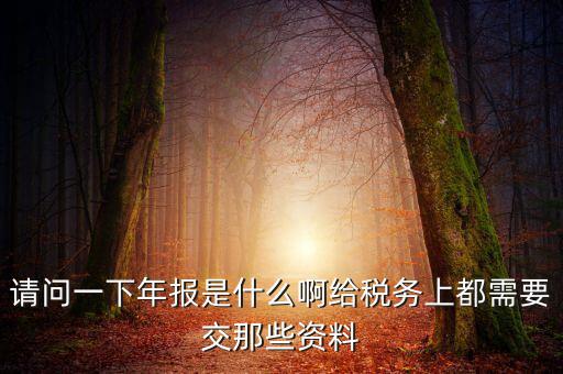 請問一下年報是什么啊給稅務(wù)上都需要交那些資料