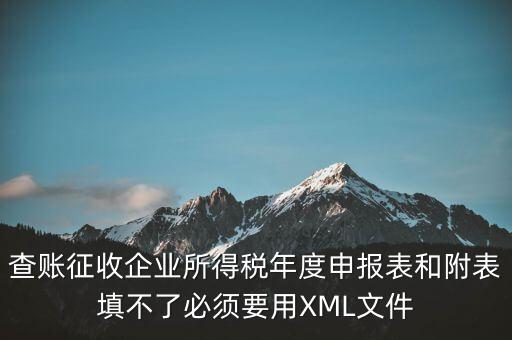 查賬征收企業(yè)所得稅年度申報表和附表填不了必須要用XML文件