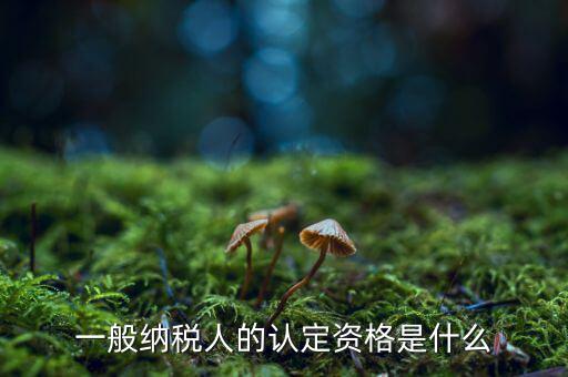 什么是一般納稅人資質(zhì)，一般納稅人的認(rèn)定資格是什么