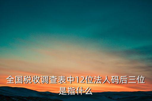 全國(guó)稅收調(diào)查表中12位法人碼后三位是指什么