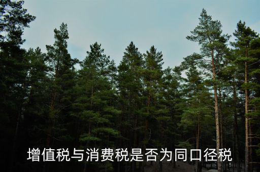 稅收可比口徑什么意思，稅收比重什么意思