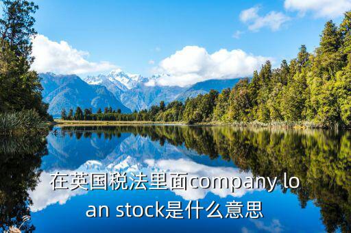 英國出國稅 是什么意思，在英國稅法里面company loan stock是什么意思