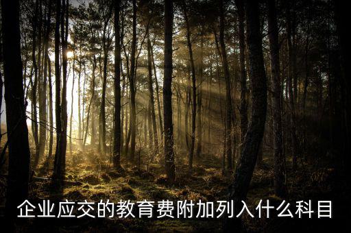 教育費(fèi)附加干什么，教育費(fèi)附加代表什么意思