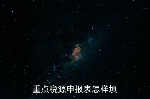 重點(diǎn)稅源申報表怎樣填