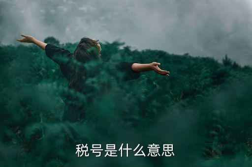 納稅號(hào)碼是什么意思，稅號(hào)是什么意思