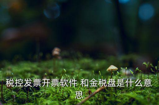 稅控系統(tǒng)指什么，稅控發(fā)票開票軟件 和金稅盤是什么意思