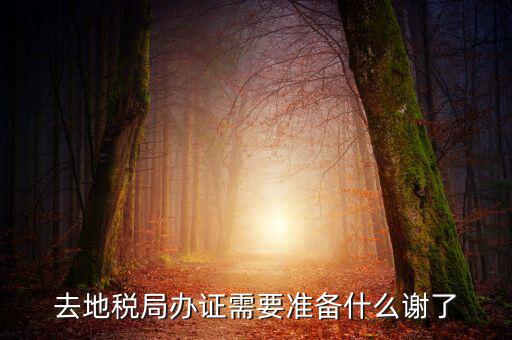 地稅局辦理什么，地稅局開(kāi)發(fā)票需要辦什么手續(xù)