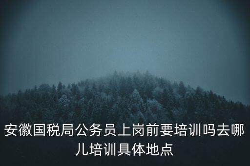 安徽國稅什么時候培訓，安徽省稅務學校還在嗎那里的教學樓宿舍和操場都還在嗎沒被拆