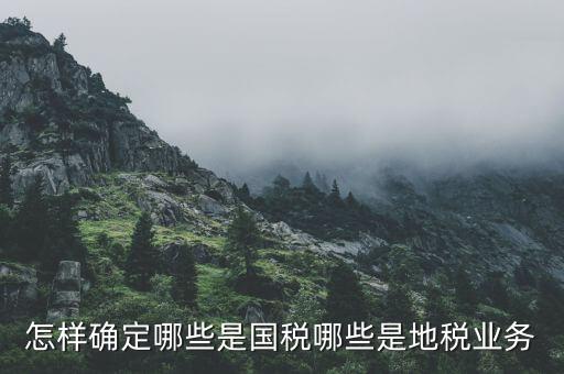 業(yè)務(wù)地稅是什么，地稅申報(bào)中業(yè)務(wù)種類是什么