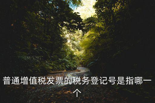 普通增值稅發(fā)票的稅務登記號是指哪一個