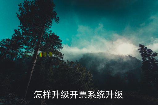 開票用什么軟件升級(jí)，怎樣升級(jí)開票系統(tǒng)升級(jí)