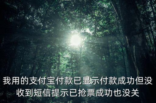 我用的支付寶付款已顯示付款成功但沒收到短信提示已搶票成功也沒關