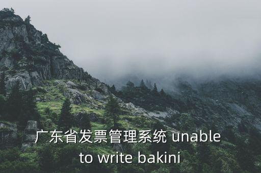 廣東省發(fā)票管理系統(tǒng) unable to write bakini