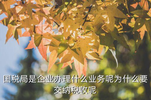 國稅局辦理什么業(yè)務(wù)，國稅局是企業(yè)辦理什么業(yè)務(wù)呢為什么要交納稅收呢