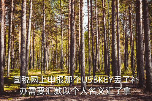 稅務(wù)ukey是什么意思，國稅網(wǎng)上申報那個USBKEY丟了補辦需要匯款以個人名義匯了拿