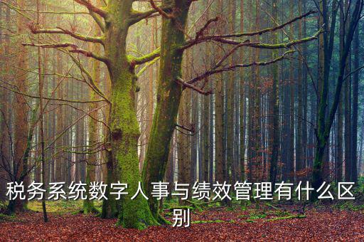 稅務系統(tǒng)數(shù)字人事與績效管理有什么區(qū)別