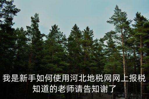 我是新手如何使用河北地稅網網上報稅知道的老師請告知謝了