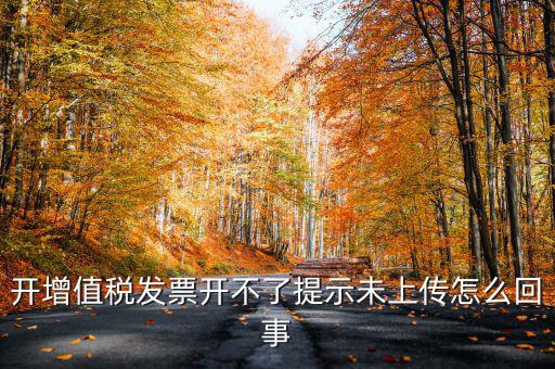 開(kāi)增值稅發(fā)票開(kāi)不了提示未上傳怎么回事