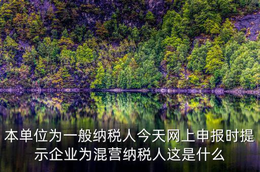 本單位為一般納稅人今天網上申報時提示企業(yè)為混營納稅人這是什么