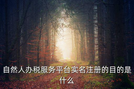 自然人辦稅服務(wù)平臺(tái)實(shí)名注冊(cè)的目的是什么