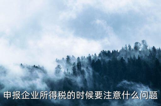 年度企業(yè)所得稅申報注意什么，申報企業(yè)所得稅的時候要注意什么問題