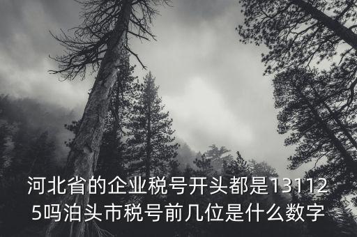 河北省的企業(yè)稅號開頭都是131125嗎泊頭市稅號前幾位是什么數(shù)字