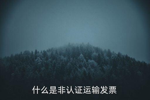 運(yùn)輸票是什么，運(yùn)輸發(fā)票是普通發(fā)票嗎