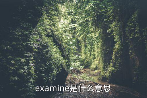 examine是什么意思