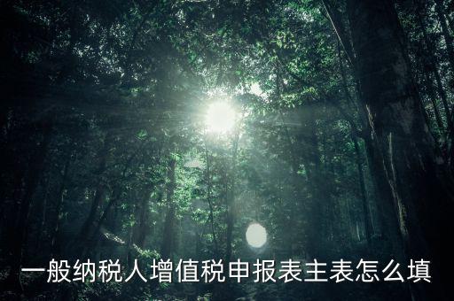 一般納稅人主表是什么，一般納稅人增值稅申報(bào)表主表怎么填