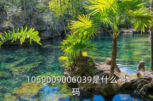 10699999是什么號(hào)碼，1069009006039是什么號(hào)碼