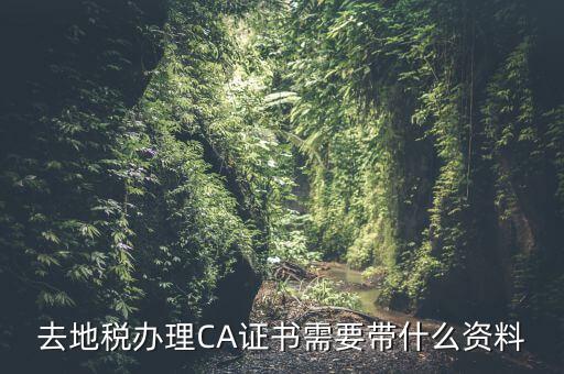 去地稅辦理CA證書需要帶什么資料