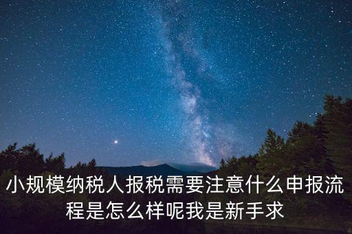 報稅需要注意什么手續(xù)，一般納稅人每個月怎么報稅報稅時要注意什么流程是怎么樣的