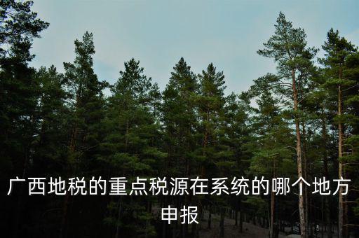 廣西地稅網是什么，進入廣西地稅網后為什么網上辦稅大廳會進不去