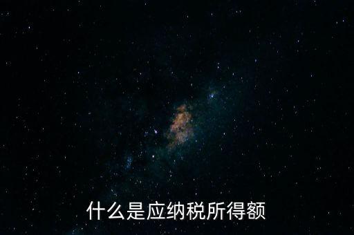 什么是應(yīng)納稅所得額