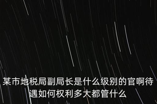 某市地稅局副局長是什么級(jí)別的官啊待遇如何權(quán)利多大都管什么