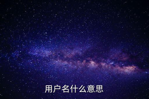 微稅用戶名是什么意思啊，用戶名什么意思