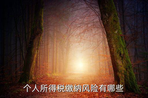 所得稅申報時有什么風(fēng)險提示，個人所得稅繳納風(fēng)險有哪些