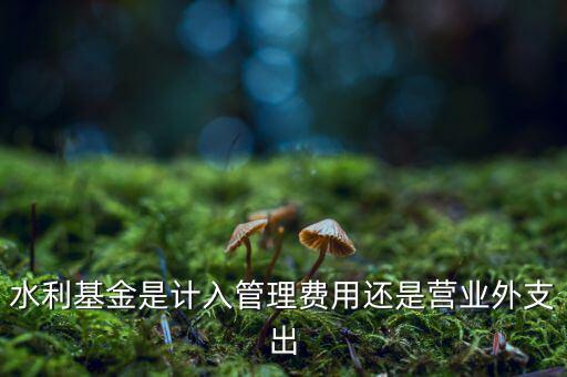 水利基金是計入管理費用還是營業(yè)外支出