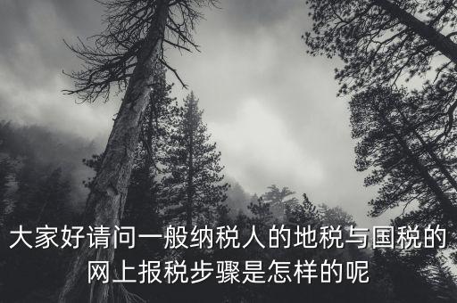 地稅用戶名是什么河北，我是新手如何使用河北地稅網(wǎng)網(wǎng)上報(bào)稅知道的老師請(qǐng)告知謝了