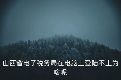 山西省電子稅務局在電腦上登陸不上為啥呢