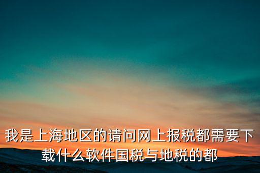 我是上海地區(qū)的請(qǐng)問(wèn)網(wǎng)上報(bào)稅都需要下載什么軟件國(guó)稅與地稅的都