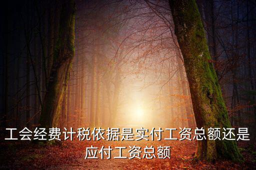 工會經(jīng)費計稅依據(jù)是實付工資總額還是應(yīng)付工資總額