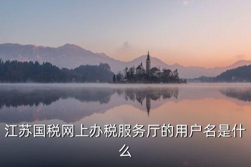 網(wǎng)上辦稅平臺帳號是什么，地稅網(wǎng)上申報用什么帳號