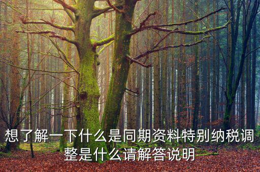 關聯(lián)申報同期資料是什么，想了解一下什么是同期資料特別納稅調整是什么請解答說明