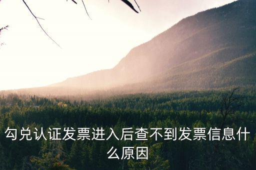 勾兌認證發(fā)票進入后查不到發(fā)票信息什么原因