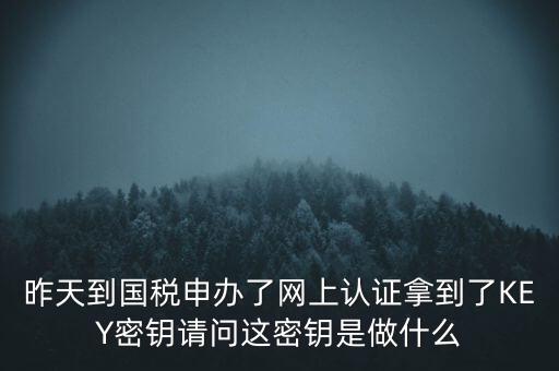 稅務(wù)認(rèn)證密碼是什么，昨天到國(guó)稅申辦了網(wǎng)上認(rèn)證拿到了KEY密鑰請(qǐng)問(wèn)這密鑰是做什么