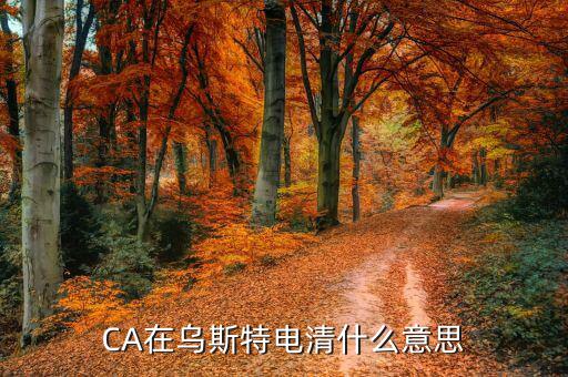 ca控件什么意思，CA在烏斯特電清什么意思